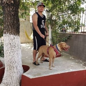 Meet your Posher, Junior